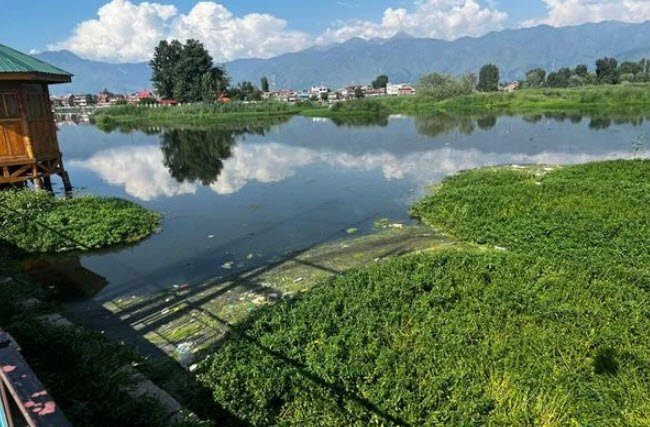 Brari Nambal, Srinagar, Jammu and Kashmir - Vushii.com Brari Nambal, Srinagar, Jammu and Kashmir - Vushii.com